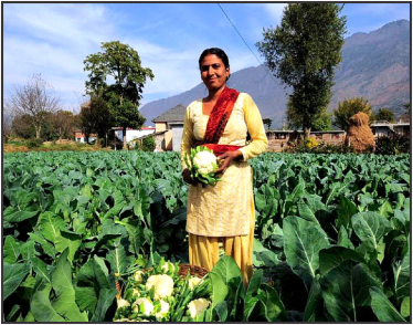 An Organic Future: India Has Over 30% Of World’s Organic Producers!