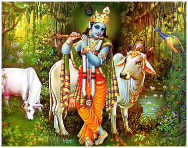 હિંદુ ધર્મમાં ગૌમાતા સાક્ષાત્ ભાગ્ય અને ભગવાન છે..