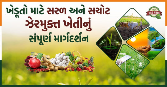 ઓર્ગેનિક ખેતી કરવાની સંપૂર્ણ માર્ગદર્શિકા 2026