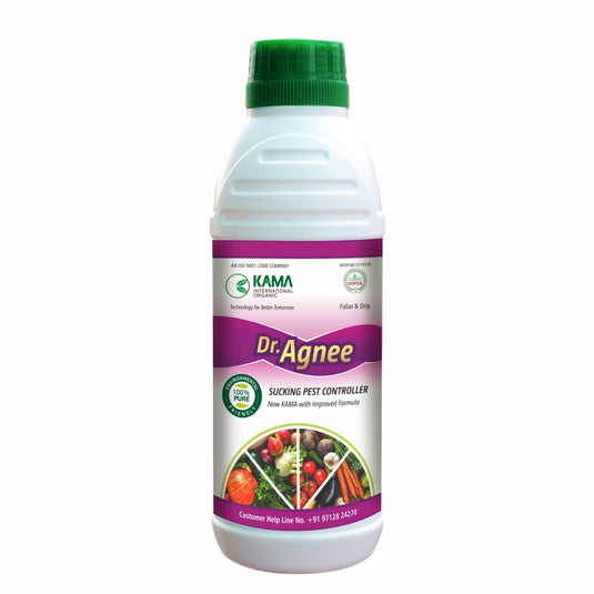 Dr Agnee
