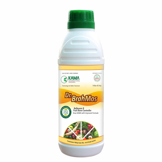 Dr Brahmos