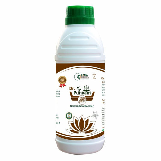 Dr Punyam