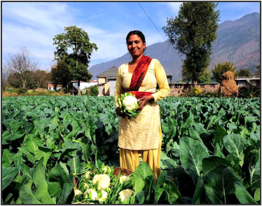 A smiling female farmer holding a large cauliflower, standing in a green cauliflower field with mountains and trees in the background.