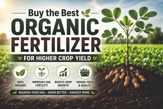 Best organic fertilizer for plant