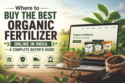 Where to Buy the Best Organic Fertilizer Online in India: A Complete Buyer's Guide