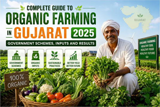 Guide banner for organic farming in Gujarat featuring a farmer and fresh vegetables.