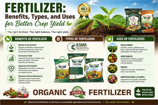 Organic Fertilizer: Benefits, Types, and Uses for Better Crop Yield