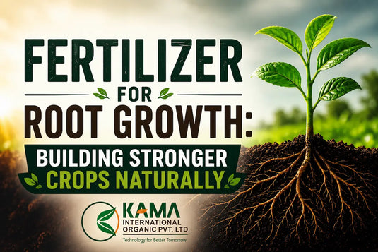 Root Growth Fertilizer