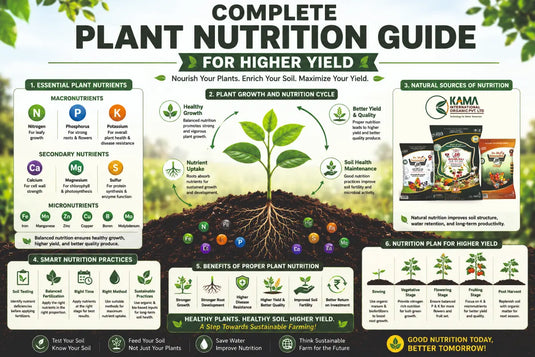 Organic nutrition rich Fertilizer for higher yield 