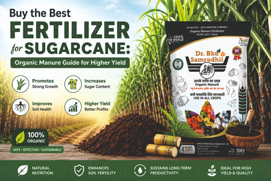 Buy the Best Fertilizer for Sugarcane: Organic Manure Guide for Higher Yield