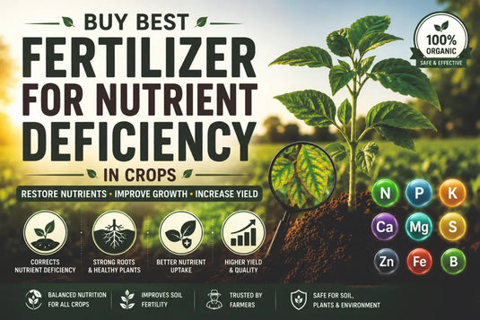 Buy Best Fertilizer for Nutrient Deficiency in Crops