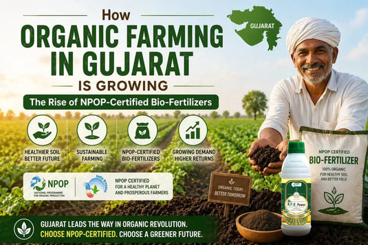 Gujarat organic farming banner featuring a farmer and bio-fertilizers.