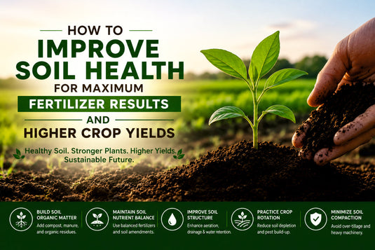 Improve soil health with help of organic fertilizer