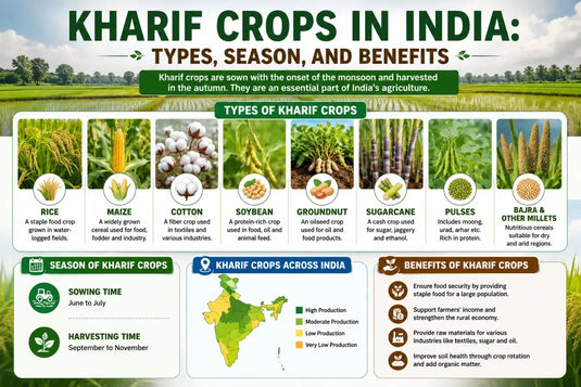 Different kharif crops across the India