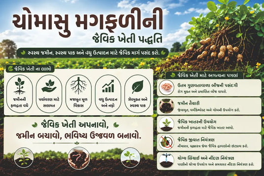 ચોમાસુ મગફળી ખાતર 