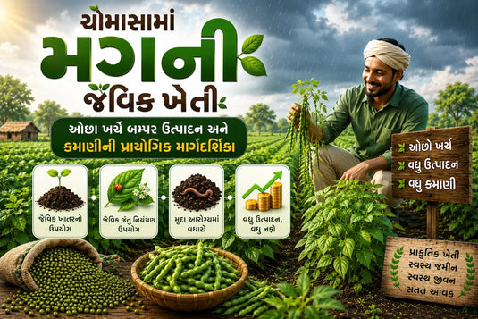 ચોમાસામાં મગની જૈવિક ખેતી: ઓછા ખર્ચે બમ્પર ઉત્પાદન અને કમાણીની પ્રાયોગિક માર્ગદર્શિકા