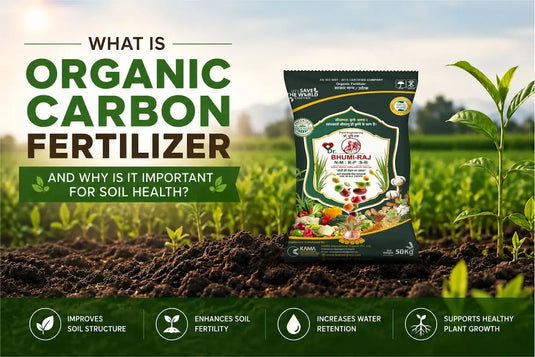 What is Organic Carbon Fertilizer and Why is it Important for Soil Health?