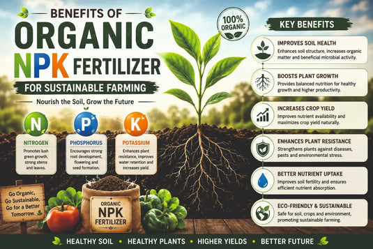 Best organic NPK fertilizer for Plant growth