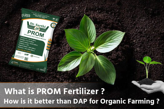 What is PROM Fertilizer? How is it  better than DAP for Organic Farming?