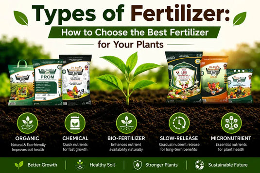 Types of best fertilizer for plants 
