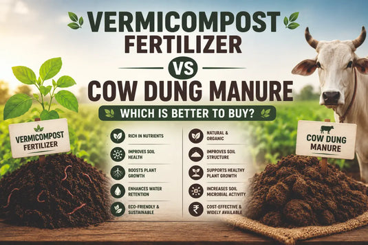 Vermicompost & Cow Dung Fertilizer