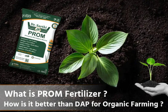 Dr. Sarthi PROM fertilizer bag next to a growing plant, with text comparing PROM to DAP.