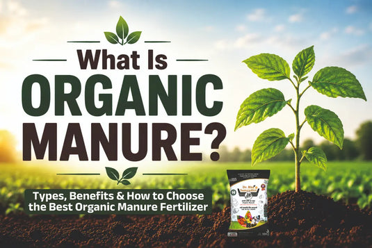 What Is Organic Manure? Types, Benefits & How to Choose the Best Organic Manure Fertilizer
