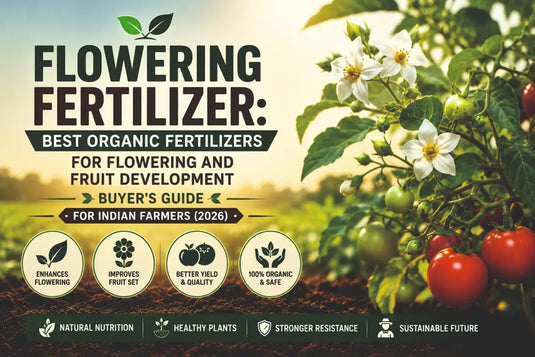 Best Flowering Fertilizer and crop growth