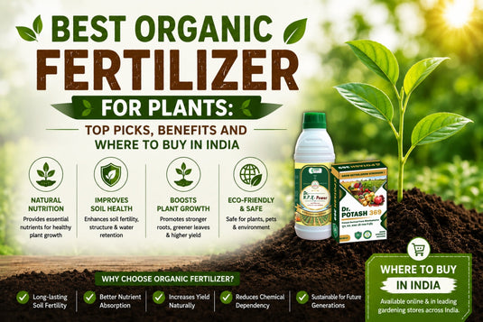 Dr N.P.K Power and Dr Potash 369  fertilizer for better plant growth