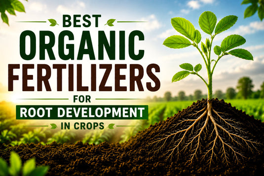 Best Organic Fertilizers for Root Development in Crops