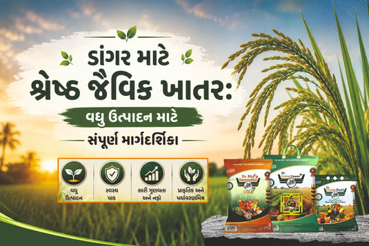 ડાંગર માટે શ્રેષ્ઠ જૈવિક ખાતર - વધુ ઉત્પાદન માટે કાર્બન ફર્ટિલાઇઝર અને માઇક્રો ન્યુટ્રિએન્ટ્સ માર્ગદર્શિકા