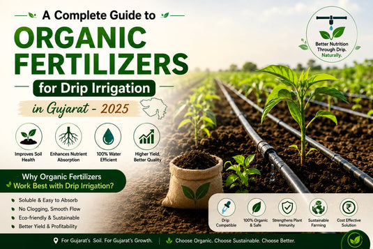 Organic fertilizer work on drip irrigation system