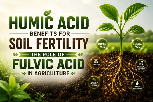 improve soil fertility with help of humic acid fertilizer