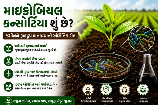માઇક્રોબિયલ કન્સોર્ટિયા શું છે? જમીનને ફળદ્રુપ બનાવવાની ઓર્ગેનિક રીત