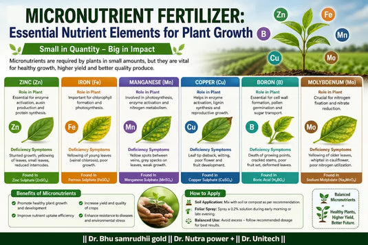 best guidance ofEssential Nutrient Elements for Plant Growth with Micronutrient Fertilize