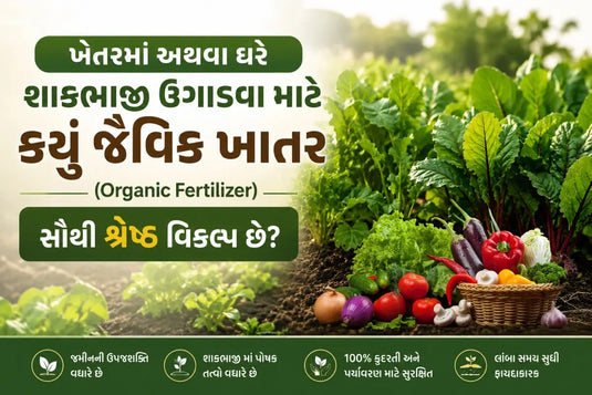ખેતરમા અથવા ઘરે શાકભાજી ઉગાડવા માટે કયું જૈવિક ખાતર (Organic Fertilizer) સૌથી શ્રેષ્ઠ વિકલ્પ છે?