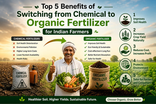 Organic fertlizer vs Chemical fertilizer