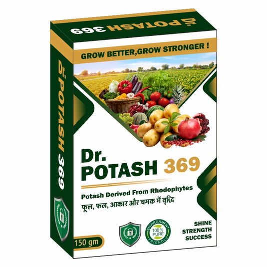 Dr.Potash 369