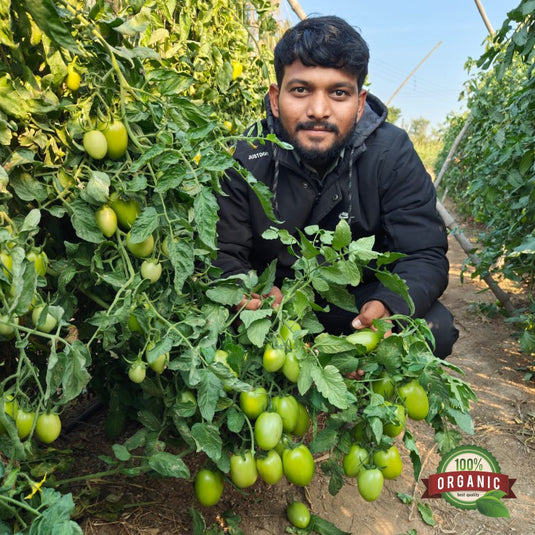 Dr. Bhu Samruddhi Gold