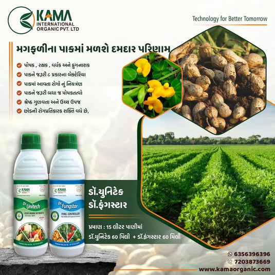 For the best result in groundnut farming Dr Fungstar best organic fertilizer