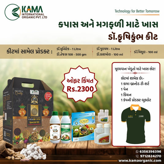 Dr Krushi Kumbh is a plant protection specialist for Cotton and Groundnut