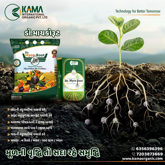 Dr Myco Root 4 kg