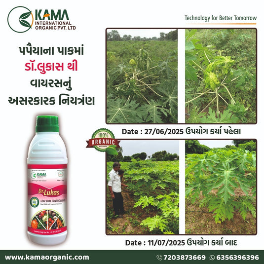ડૉ. લુકાસ