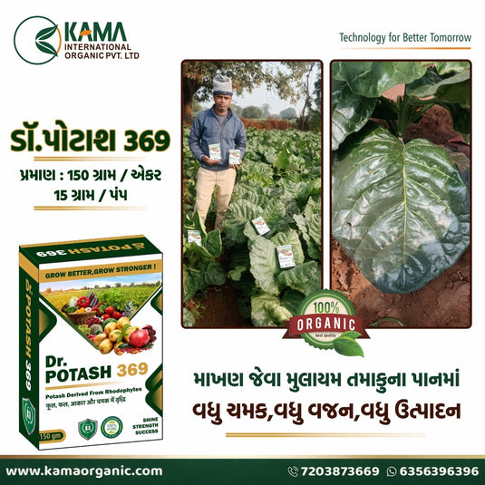 Dr Potash 369
