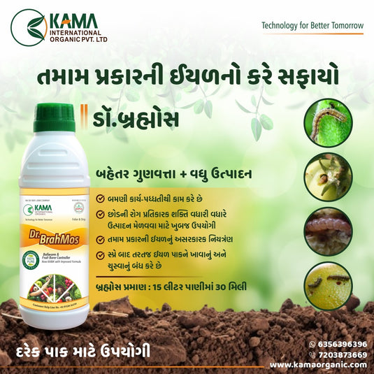 ડૉ. બ્રહ્મોસ
