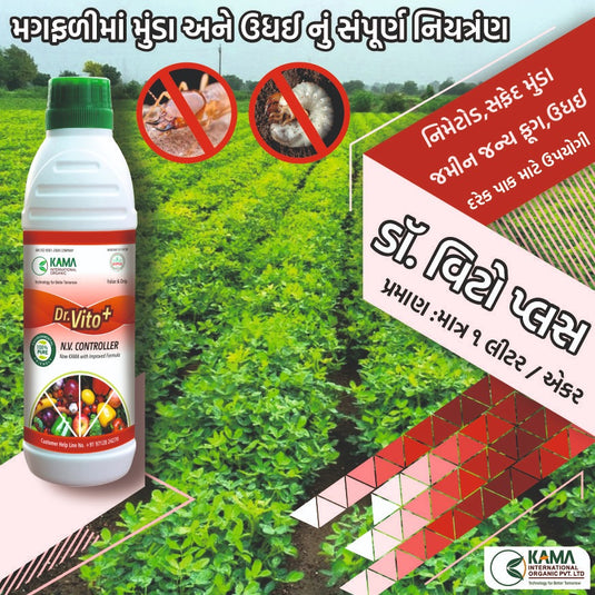 ડૉ. વીટો પ્લસ