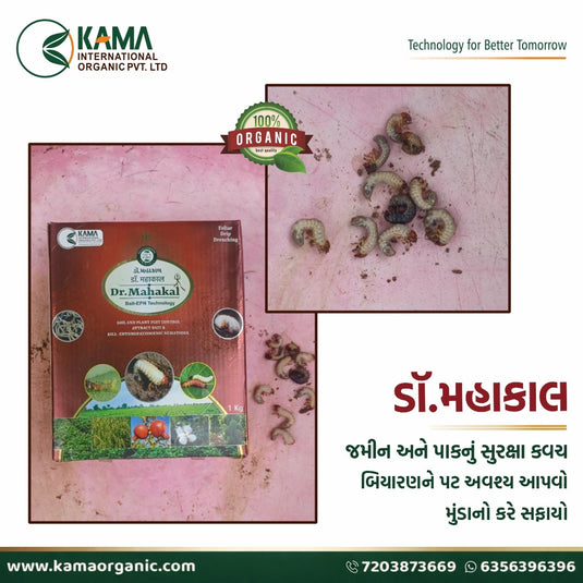 ડૉ. મહાકાલ