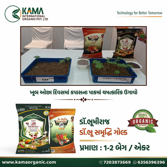 ડૉ. ભૂમિ રાજ