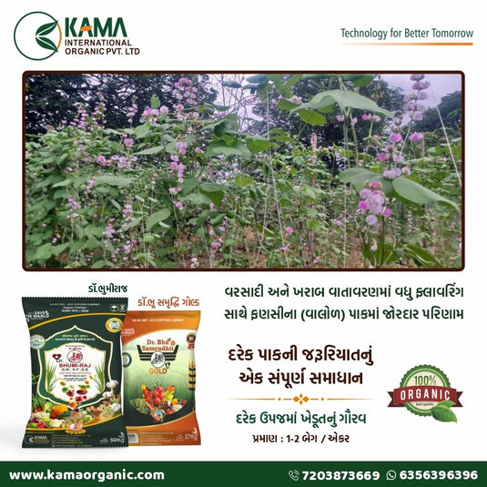 Dr Bhu Samruddhi Gold
