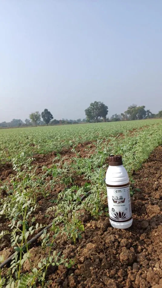 Dr Punyam  liquid fertilizer using on a farm field  